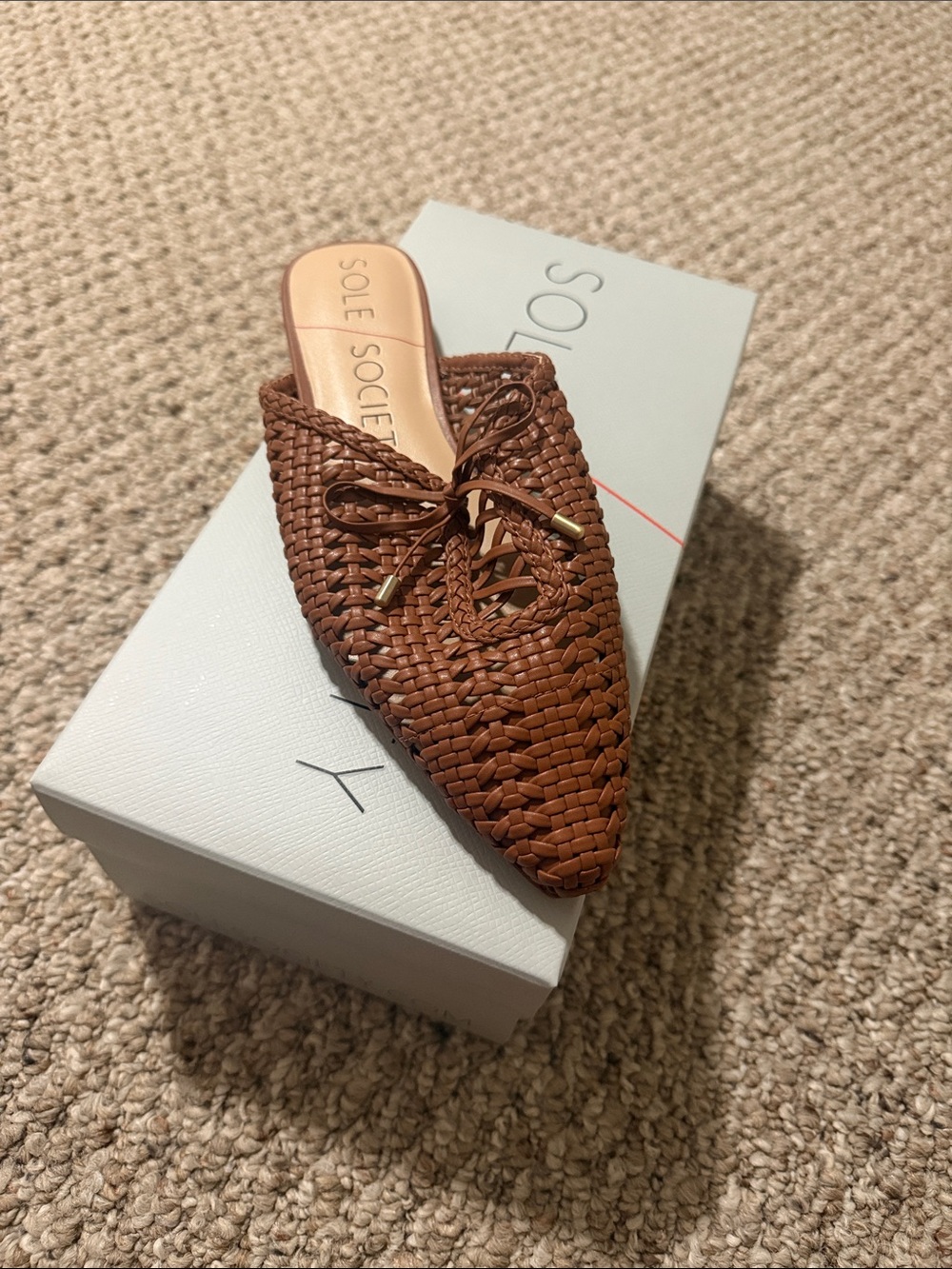 Sole Society Brown Woven Pointed Mule with Lace